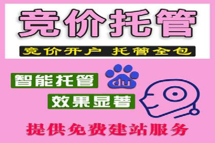 竞价SEM助力电商平台快速提升流量